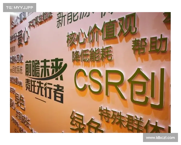 从企业化运作到社会责任担当浅析建业俱乐部五大核心性质转型路径